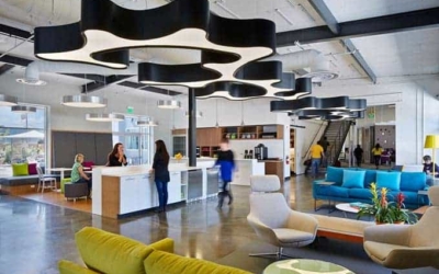 Designing for Success in a Changing Office Environment