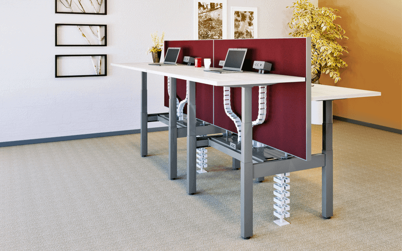 4 Person Height Adjustable Benching