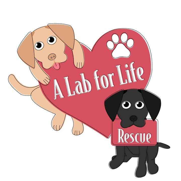 A lab for life logo
