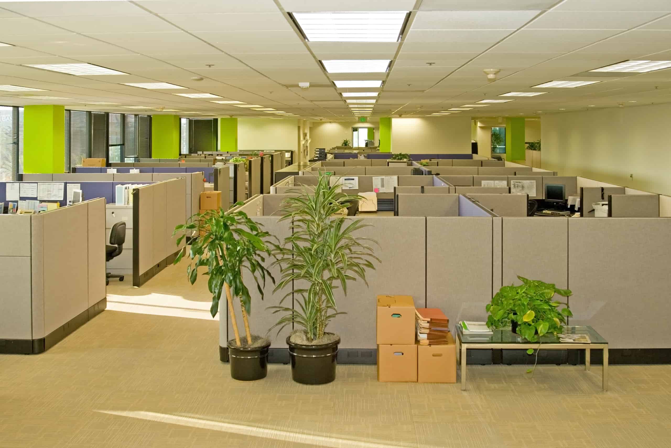 Office Cubicles